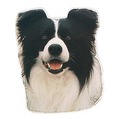 Border Collie-Aufkleber