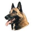 Malinois-Aufkleber