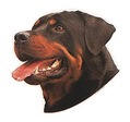 Rottweiler-Aufkleber