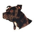 Staffordshire Bullterrier-Aufkleber