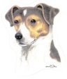 Aufkleber mit Jack Russell Terrier-Motiv