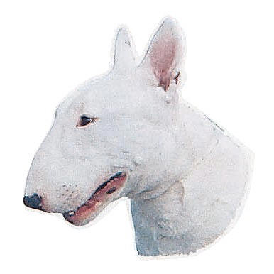 Groe Aufkleber-Packung (2 Aufkleber) mit  Bullterrier (wei)-Motiv