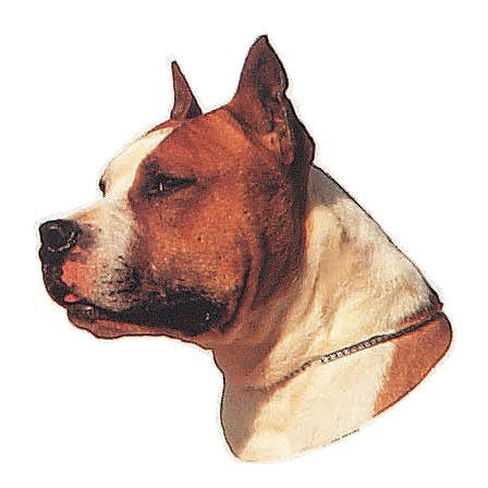 Groe Aufkleber-Packung (2 Aufkleber) mit American Stafforshire Terrier (barun-wei)-Motiv