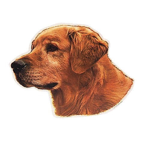 Golden Retriever-Aufkleber