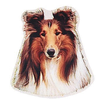 Groe Aufkleber-Packung (2 Aufkleber) mit Collie-Motiv