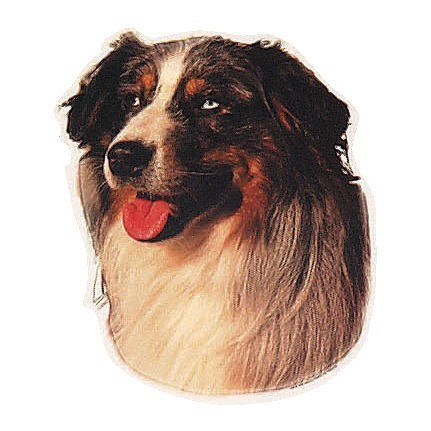 Groe Aufkleber-Packung (2 Aufkleber) mit Australian Shepherd-Motiv