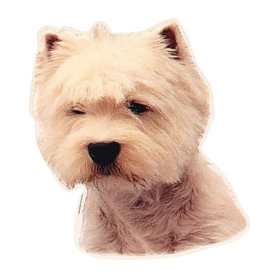 West Highland White Terrier-Aufkleber