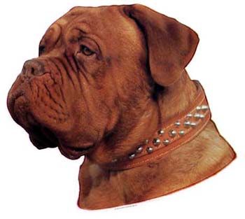 Groe Aufkleber-Packung (2 Aufkleber) mit Bordeauxdogge-Motiv