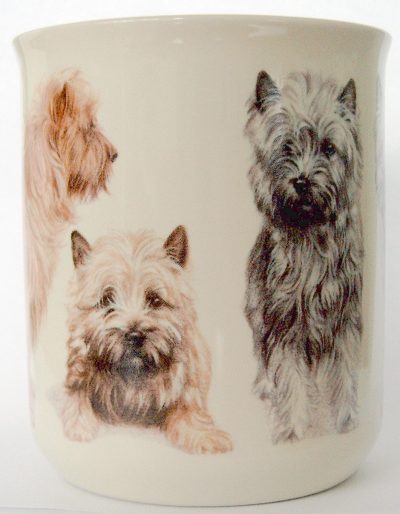 cairn-terrier