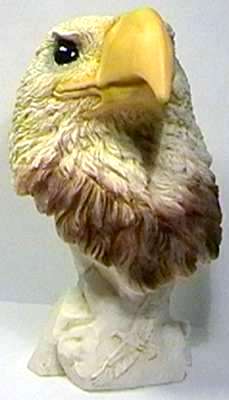 Adler Kopf