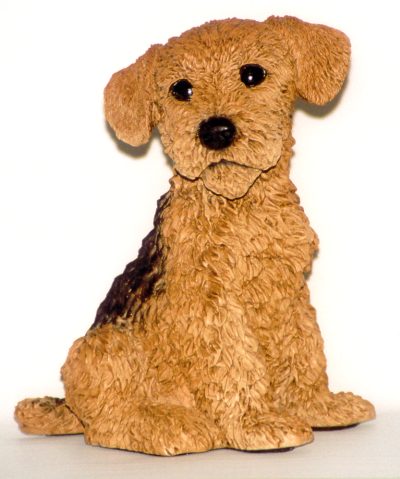 Airedale Terrier Welpe