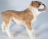 Englische Bulldogge Figur