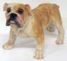 Englische Bulldogge Figur