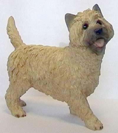 Cairn Terrier