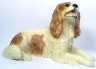 Cavalier King Charles Spaniel-Figur