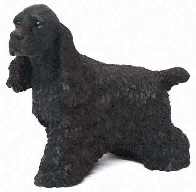 Cocker Spaniel schwarz
