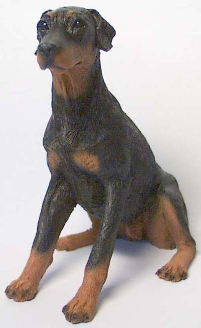 Dobermann sitzend