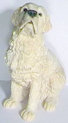 Flandern Schferhund