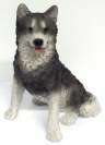 Siberian Husky Figur