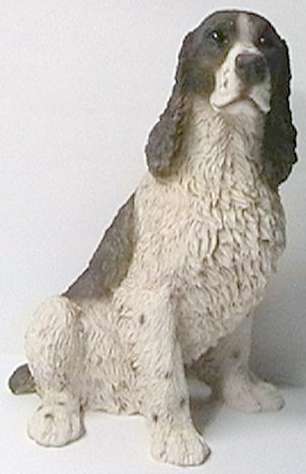 Englischer Springer Spaniel