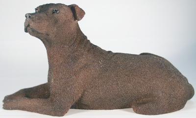 Staffordshire Bullterrier