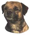 Border Terrier-Kopf 