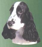 Cocker-Spaniel-Kopf, schwarz-wei