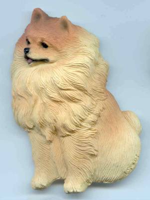 Kunstharzmagnet "Pomeranian"