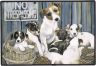 Fumatte Jack Russell Terrier-Familie