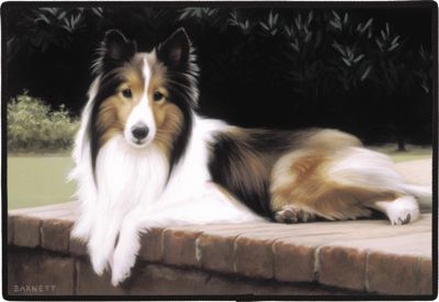 Fumatte Liegender Sheltie