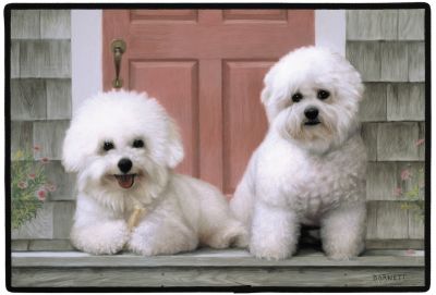 Fumatte Bichon Frises