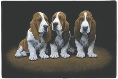 Fumatte Basset Hounds