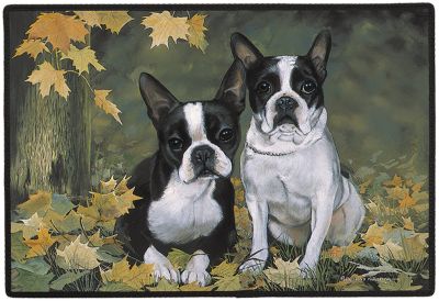 Fumatte Boston Terrier