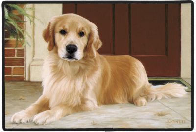 Fumatte Liegender Golden Retriever