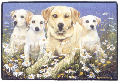 Labrador Retrieverfamilie (hell)-Fumatte