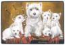 Westiefamilie - West Highland White Terrier - Fumatte