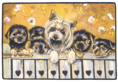 Yorkshire Terrierfamilie-Fumatte