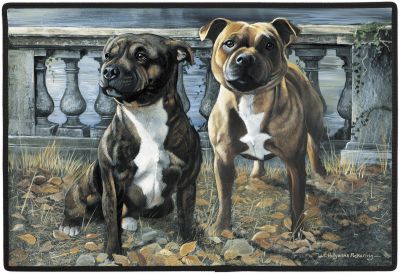 Fumatte Staffordshire Bullterrier