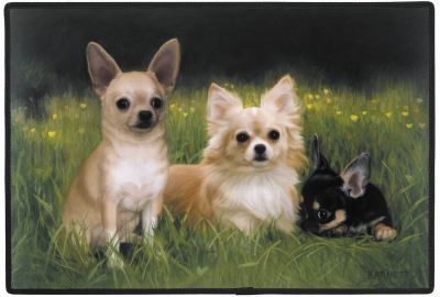 Fumatte Chihuahuas