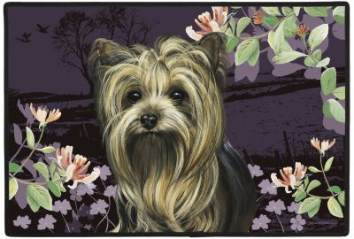 Fumatte Yorkshire Terrier