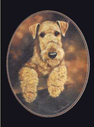 Airedale Terrier-Farbdruck