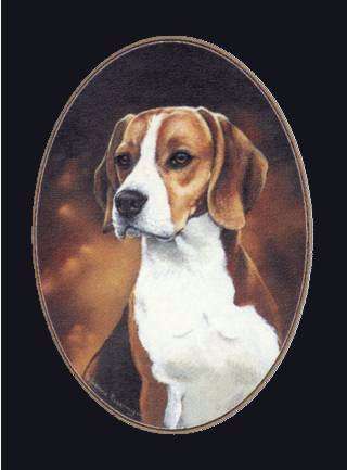 Beagle-Farbdruck