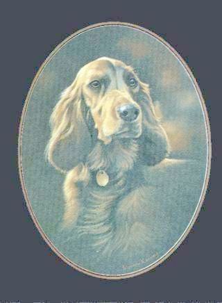 Irish Setter-Farbdruck