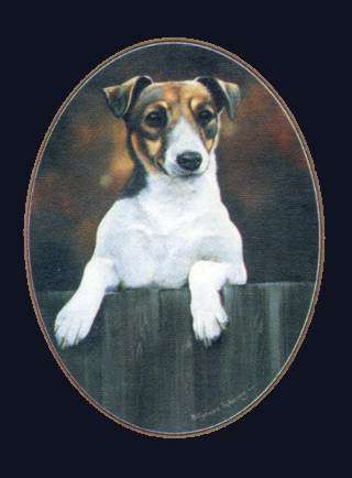 Jack Russell Terrier Farbdruck