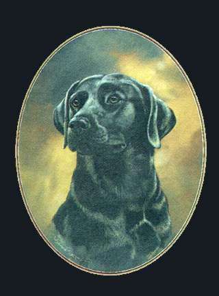 Labrador (schwarz)-Farbdruck