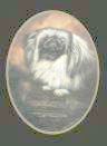 Pekingese-Farbdruck