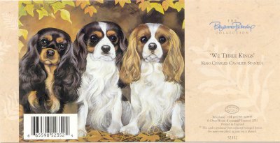 Cavalier King Charles Spaniel Grukarte - Rckseite