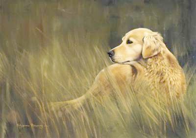 Golden Retriever Grukarte