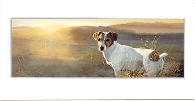 Jack Russell Terrier Grukarte - Vorderseite