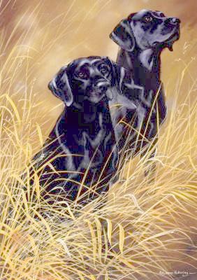 Labrador Retriever (schwarz)-Grukarte
